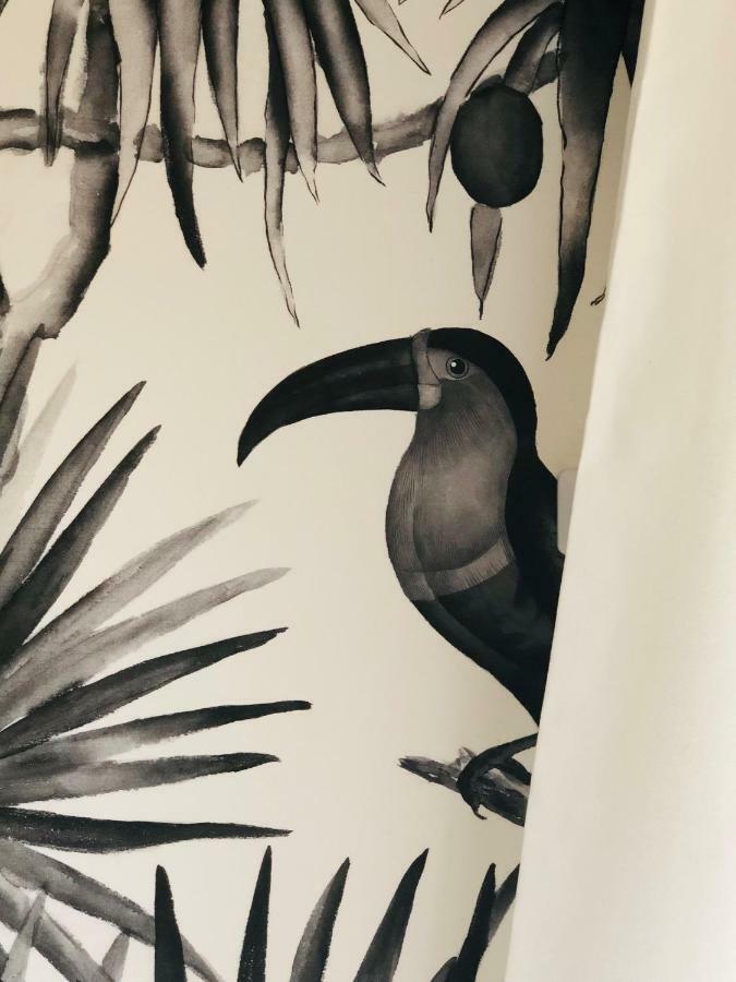 Hotel Pelican Schoelcher Eksteriør bilde